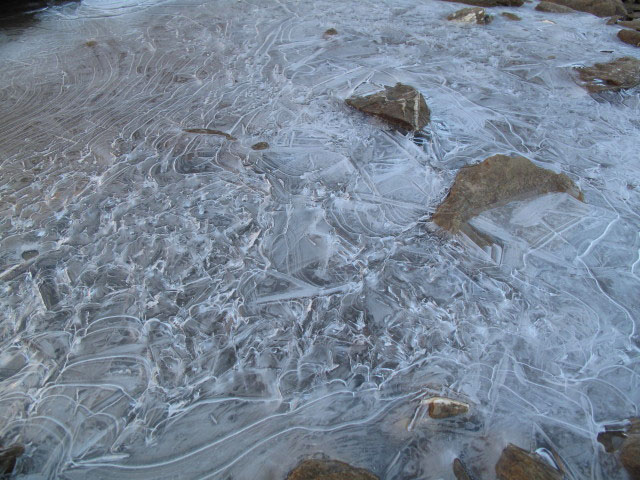 beim Griller Ferner (12. Aug.)