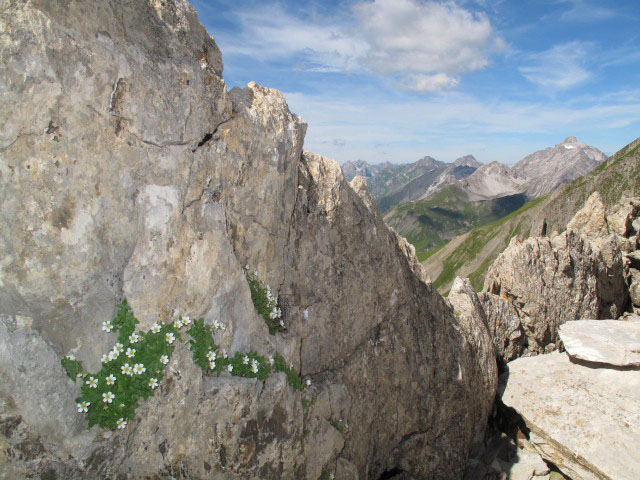 beim Roland-Ritter-Biwak, 2.608 m (12. Aug.)