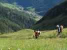 Gudrun und Christoph zwischen Masch'n Niederleger und Flarschbach (12. Aug.)