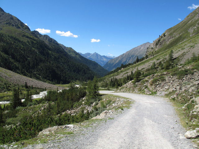 Weg 131 am Räuhloubbödele (20. Aug.)