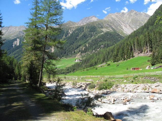 Fischbach bei der Hinteren Wiesa (20. Aug.)