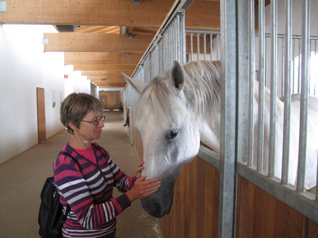 Mama in den Stallungen der Spanische Hofreitschule Lipizzaner