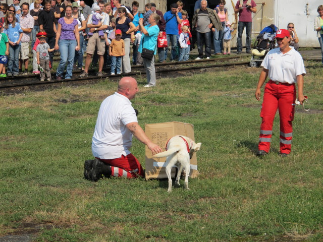 Suchhundestaffel