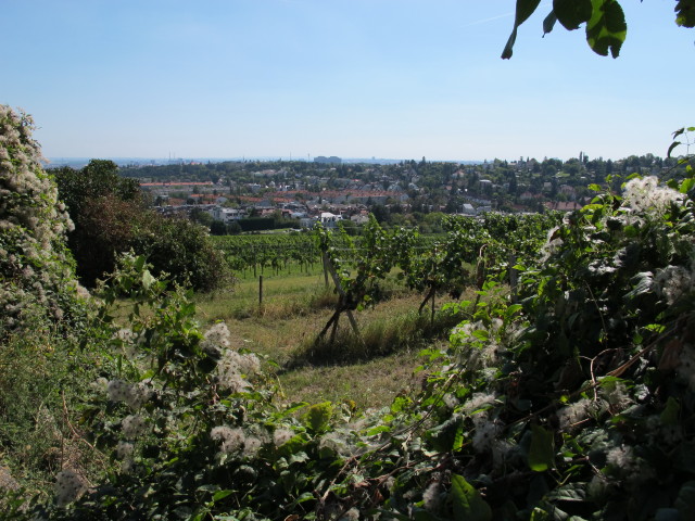 vom Hackenbergweg Richtung S&uuml;dosten