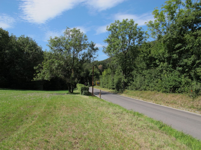 Sieveringer Straße bei der Rohrerwiese