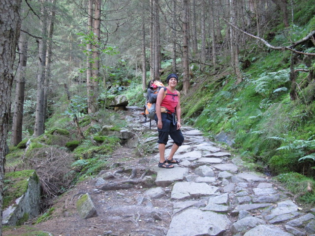 Gudrun auf Weg 522 zwischen Ginzling und Maxhütte (8. Sep.)