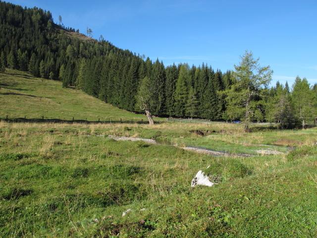 Egger Alm (15. Sep.)