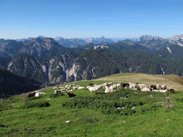 Weg 408 zwischen Schlosshüttensattel und Poludnig (15. Sep.)