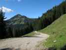 Kärntner Grenzweg zwischen Vorderberger Wildbach und Görtschacher Alm (15. Sep.)