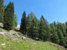 Kärntner Grenzweg zwischen Görtschacher Alm und Starhand (15. Sep.)