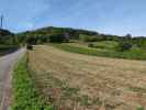 zwischen Deutschordenschloss Gumpoldskirchen und Klettergarten am Himmelreich