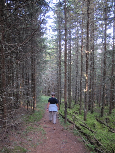 Mama am Sellraintaler Höhenweg zwischen Meils und Paswies