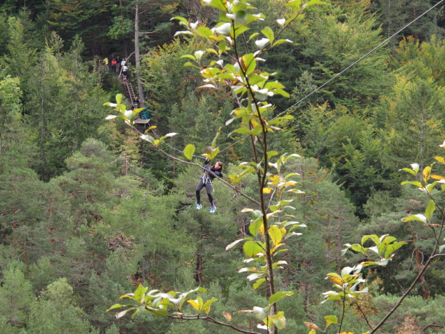 Daniela am Flying Fox 'Tschepparutsche' im Waldseilpark Tscheppaschlucht (29. Sep.)