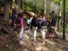 Waldseilpark Tscheppaschlucht (29. Sep.)