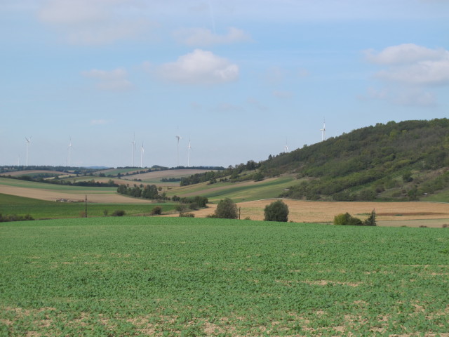 von Niederkreuzstetten Richtung Nordosten