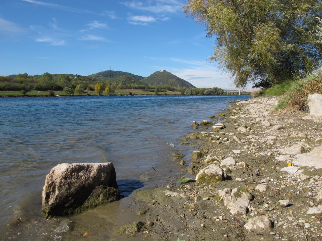 Neue Donau zwischen Nordbrücke und Jedleseer Brücke