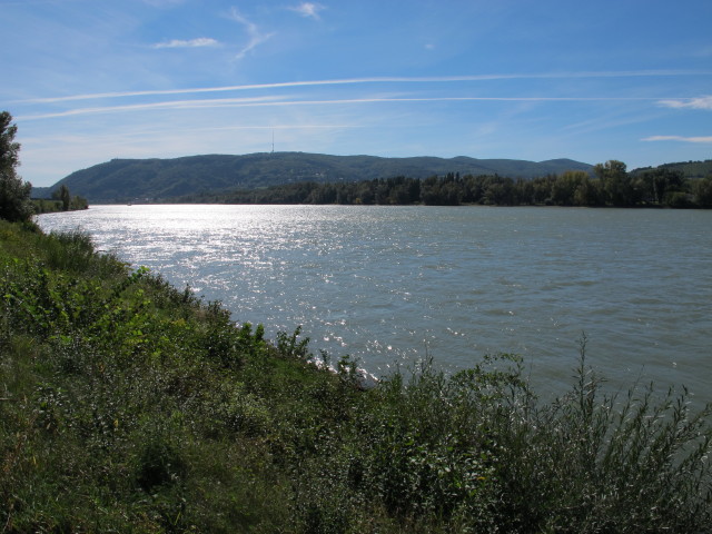 Donau bei Langenzersdorf