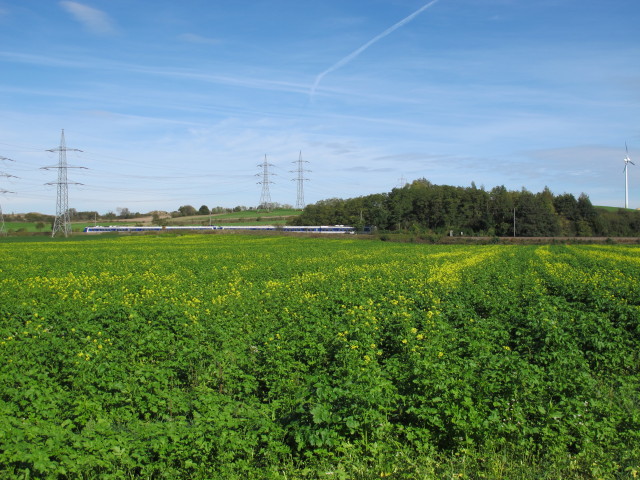 R 2236 zwischen Stockerau und Oberolberndorf