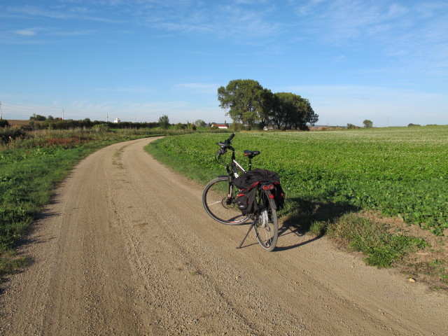 zwischen Aspersdorf und Hetzmannsdorf