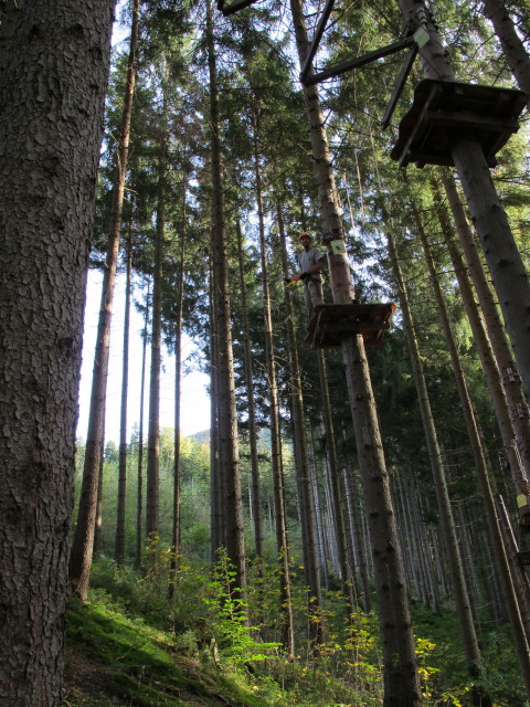 Ich im Parcours 'Eichh&ouml;rnchen' im Kletterwald Buchenberg