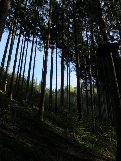 Ich im Parcours 'Eichh&ouml;rnchen' im Kletterwald Buchenberg
