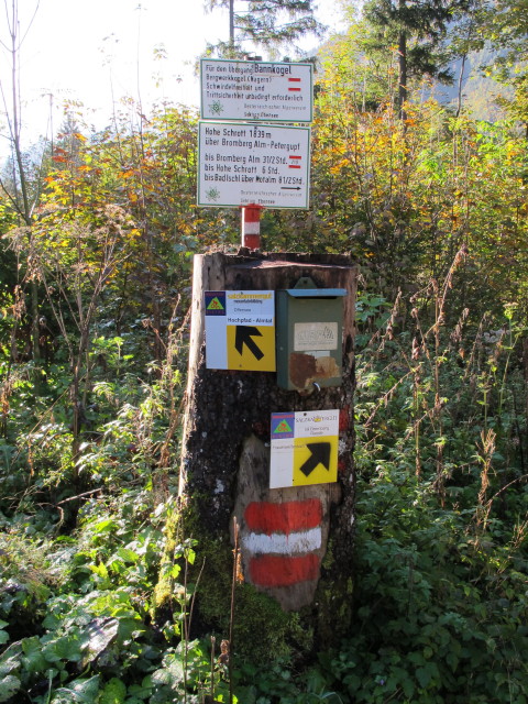 Weg 210 zwischen Lahnstein und Frauenwei&szlig;enbach