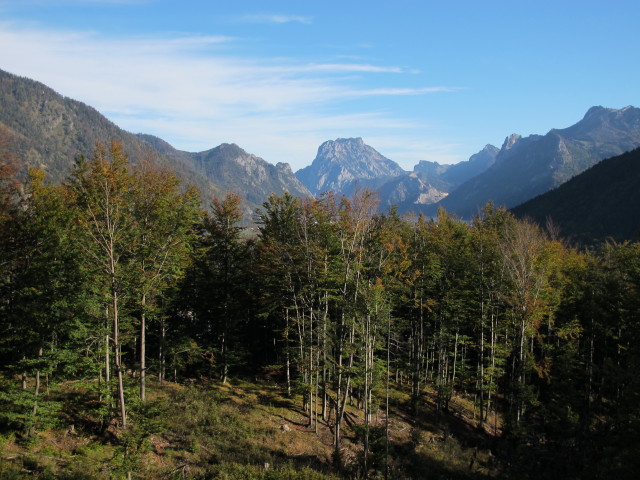 neben Weg 210 zwischen Frauenweißenbach und Bromberg