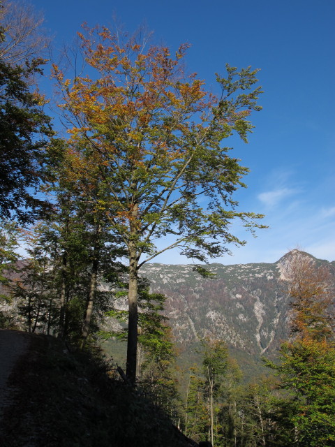 neben Weg 210 zwischen Frauenwei&szlig;enbach und Bromberg