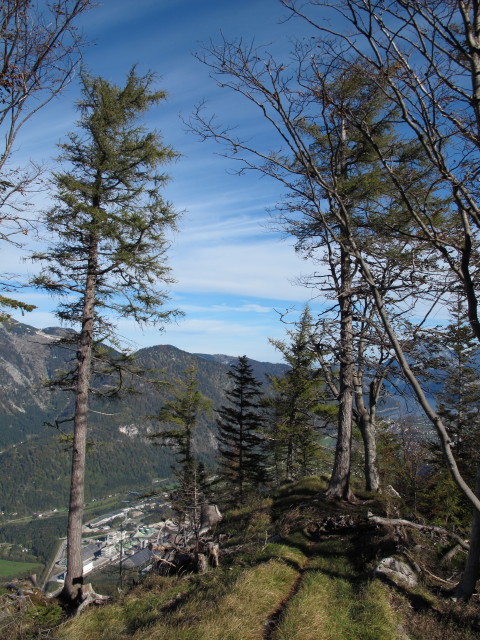 Weg 210 zwischen Frauenwei&szlig;enbach und Bromberg