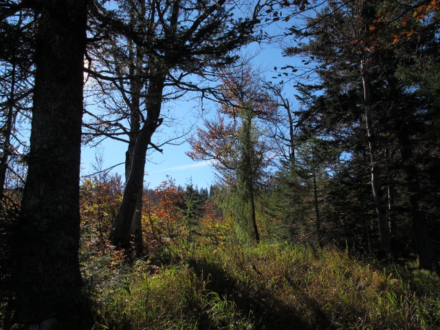 neben Weg 210 zwischen Frauenwei&szlig;enbach und Bromberg