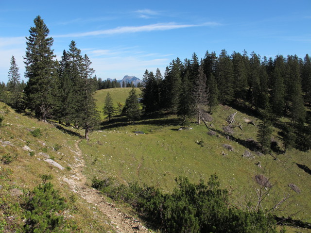 Weg 210 zwischen Brombergalm und Petergupf