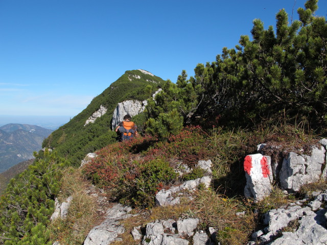 Weg 210 zwischen Bergwerkkogel und Hohe Schrott