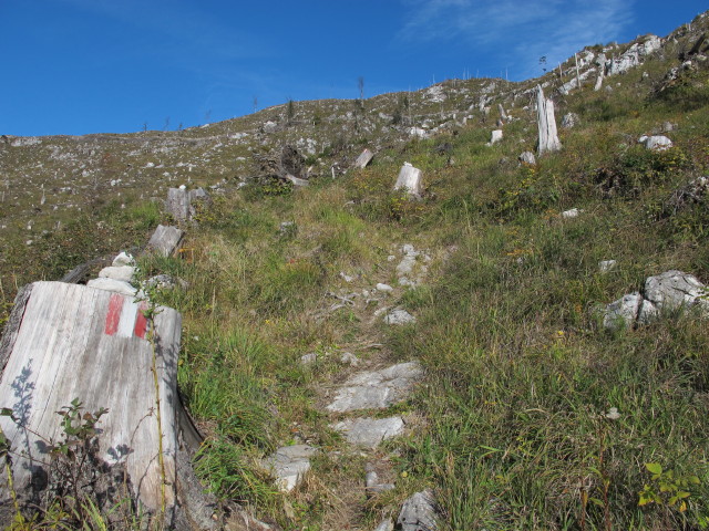 Weg 210 zwischen Kotalm und M&ouml;selwiesen