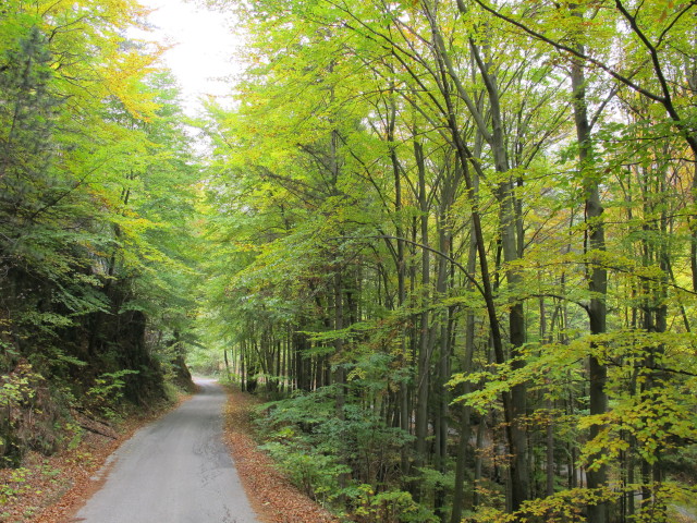 Hocheck-Mautstra&szlig;e