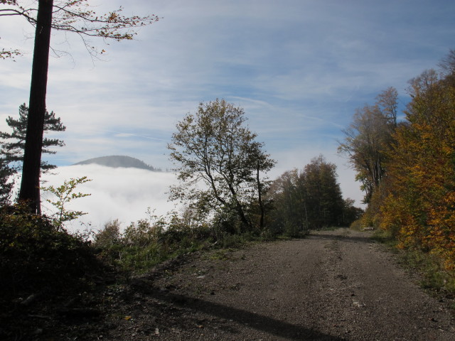 neben der Hocheck-Mautstraße