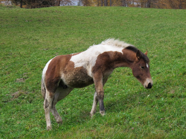zwischen Kracher und H&ouml;lden