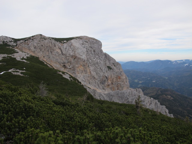 Preiner Wand vom Göbl-Kühn-Steig aus