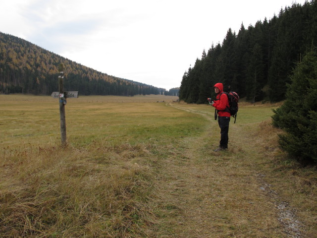 Gudrun auf der Bodenwiese