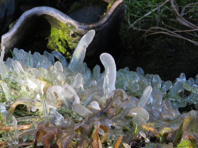 zwischen Gontenbad und Oberguetenäsch