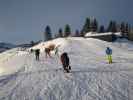 bei der Bergstation der Hahnenkammbahn, 1.662 m