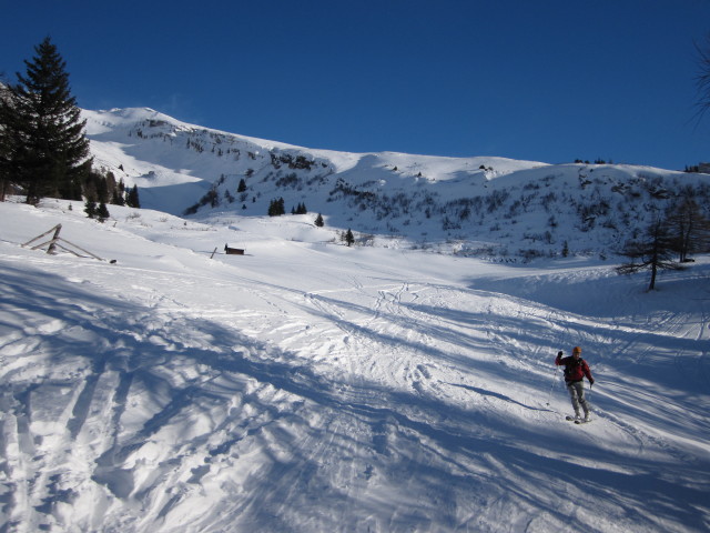 Erhard auf der Leitneralm