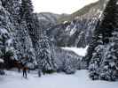 zwischen Brennerbad und Badalm