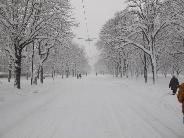 Hauptallee (17. Jän.)