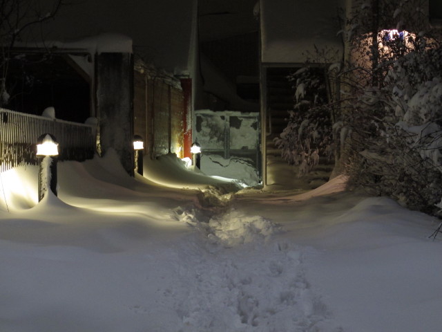 Süßenbrunner Platz 12 (17. Jän.)