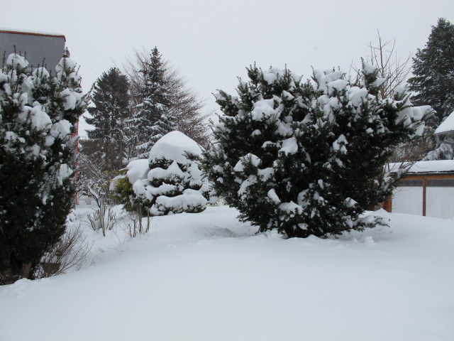 Krallgasse 3 (18. Jän.)