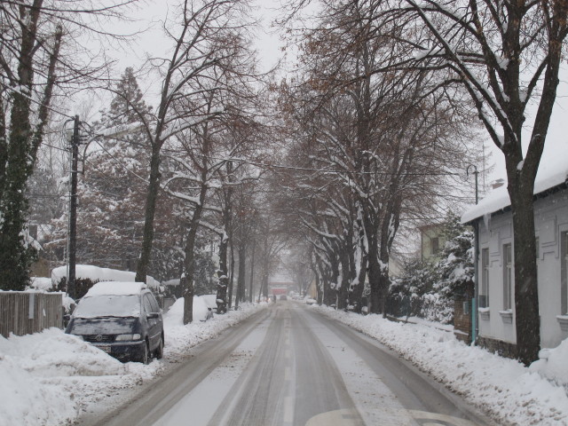 Bettelheimstraße (18. Jän.)