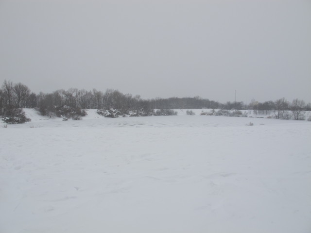 Badeteich Süßenbrunn (18. Jän.)