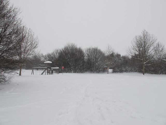 Lagerwiese Süßenbrunn (18. Jän.)