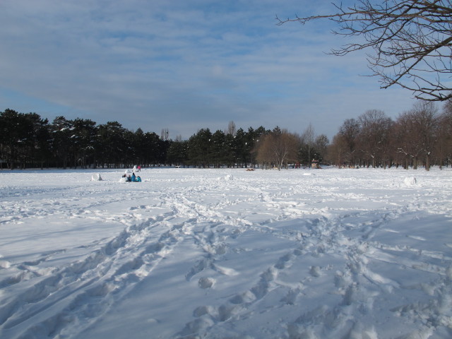 Grafenwiese (22. Jän.)