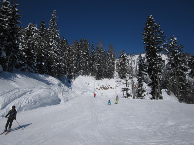 Daniela auf der Talabfahrt Tauplitz (15. Feb.)